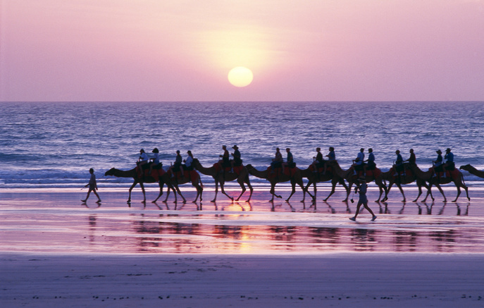 Camel Trek by the Beach